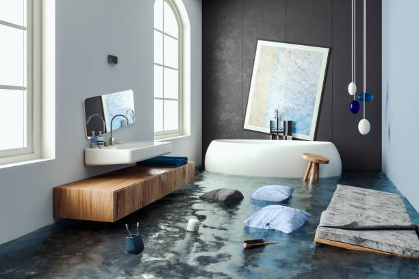 Best Water damage cleanup near me  in Pottstown, PA