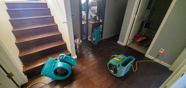 Best Flooded house restoration  in Pottstown, PA