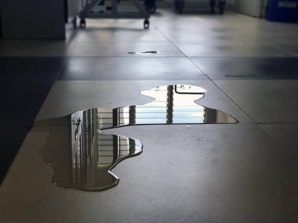 Best Water damage restoration experts  in Pottstown, PA