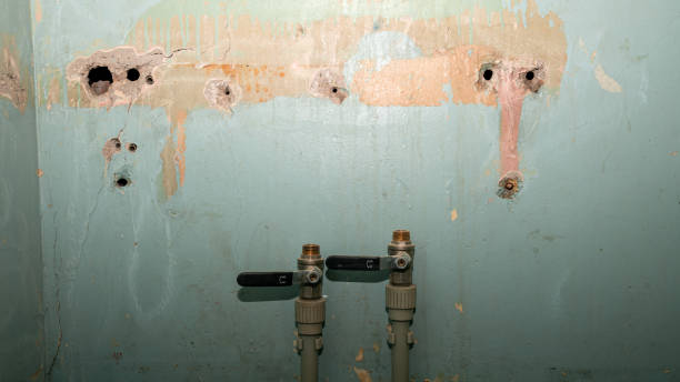 Best Carpet water damage restoration  in Pottstown, PA
