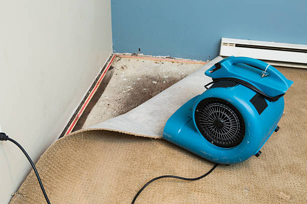 Best Flood restoration services  in Pottstown, PA
